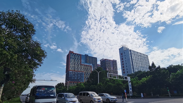 周口街頭皆美景