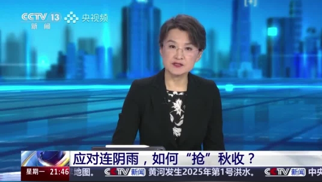 【主流媒體看周口】面對(duì)連陰雨 如何“搶”秋收？